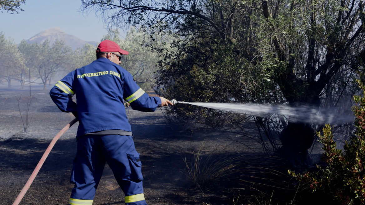 Πολύ υψηλός κίνδυνος πυρκαγιάς σε Αττική και άλλες επτά περιοχές