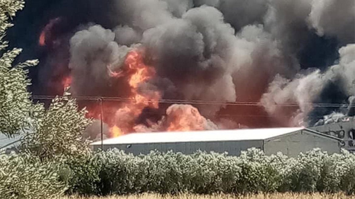 Υπό έλεγχο η φωτιά σε αποθήκη ξυλείας στον Ασπρόπυργο (βίντεο)