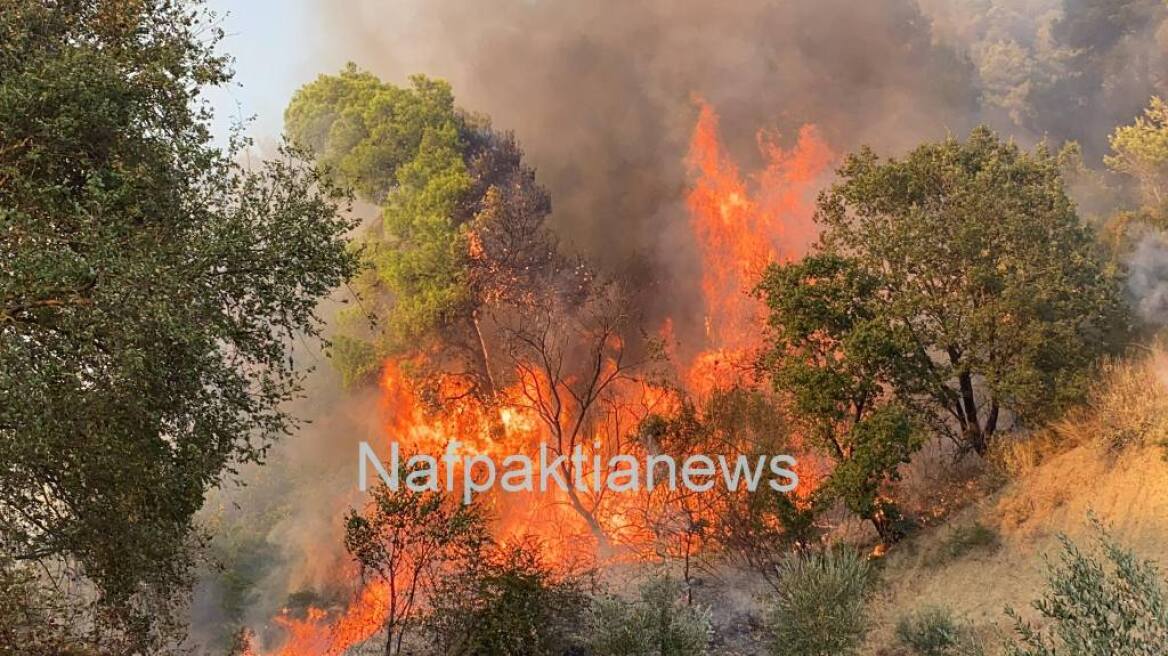 Φωτιές σε Ναύπακτο και Αλεξανδρούπολη