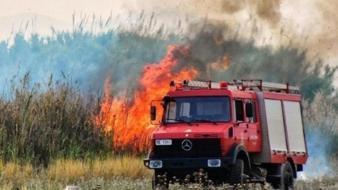 Φωτιά σε δασική έκταση στην Αρήνη Ζαχάρως