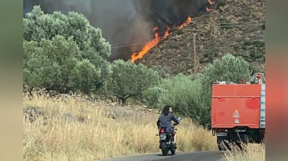 Κρήτη: Υπό έλεγχο η φωτιά στο Γεράκι