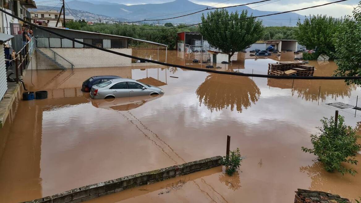 Βρέθηκε πτώμα στο Μουζάκι στο σημείο που ψάχνουν την αγνοούμενη φαρμακοποιό