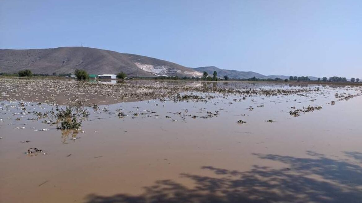 Καρδίτσα: Ανυπολόγιστες οι ζημιές στις καλλιέργειες στον Παλαμά - Σε «αδιέξοδο» οι αγρότες