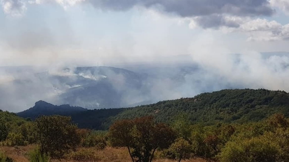 Φωτιά στη Λευκίμμη Έβρου: Ανέβηκε στην περιοχή ο αρχηγός της Πυροσβεστικής