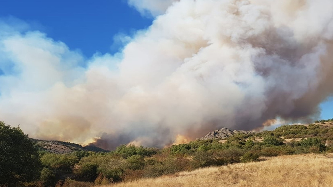 Φωτιά στον Έβρο: Καίγονται δασικές εκτάσεις στον δρυμό της Δαδιάς - Πέρασμα μεταναστών η περιοχή