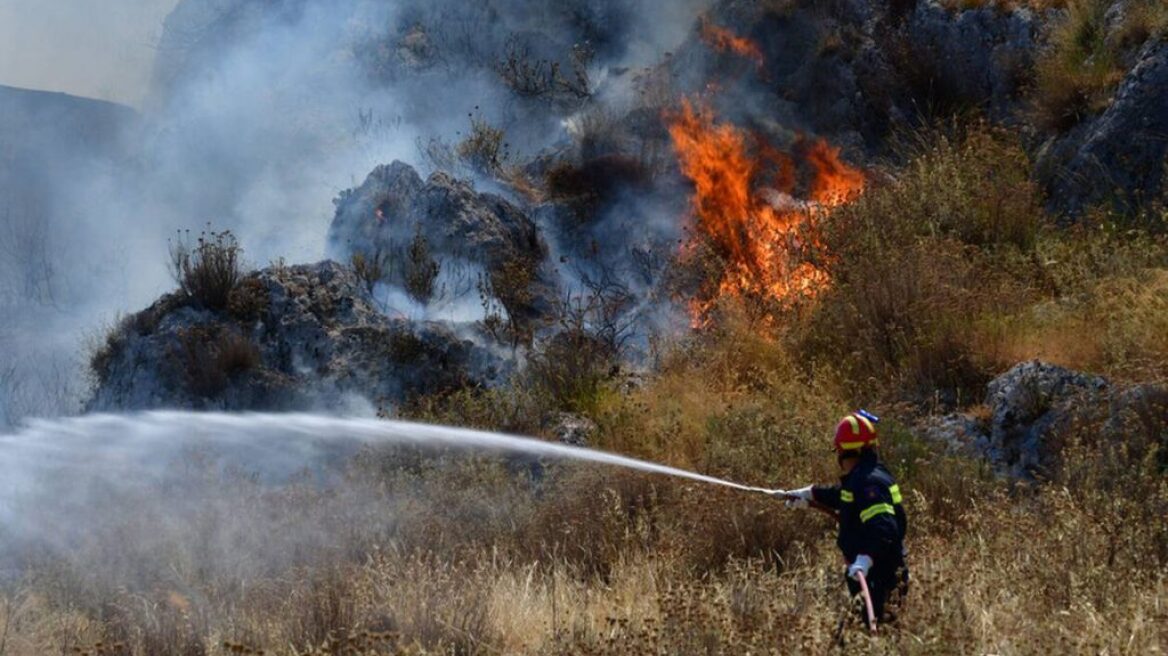 Υπό έλεγχο η φωτιά στην Πύλο