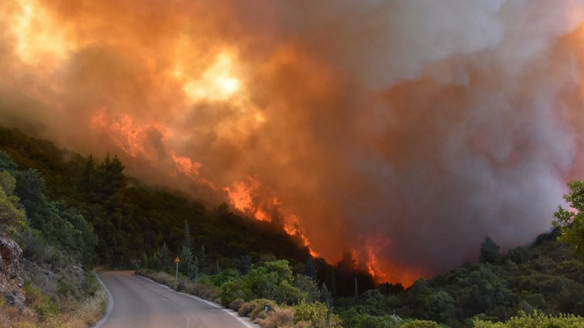 Φωτιές στην Ελλάδα: Ξεπέρασαν τις 11.000 από τις αρχές του χρόνου