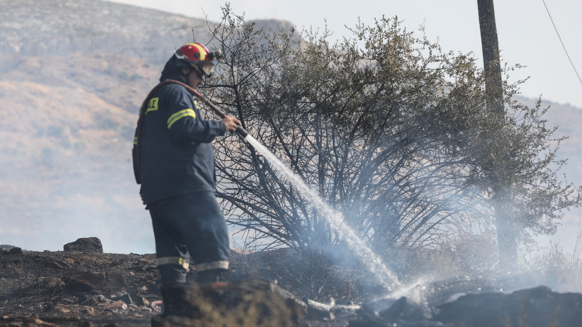 Υπό μερικό έλεγχο  η φωτιά στα Σπάτα - Δεν απειλήθηκαν κατοικίες