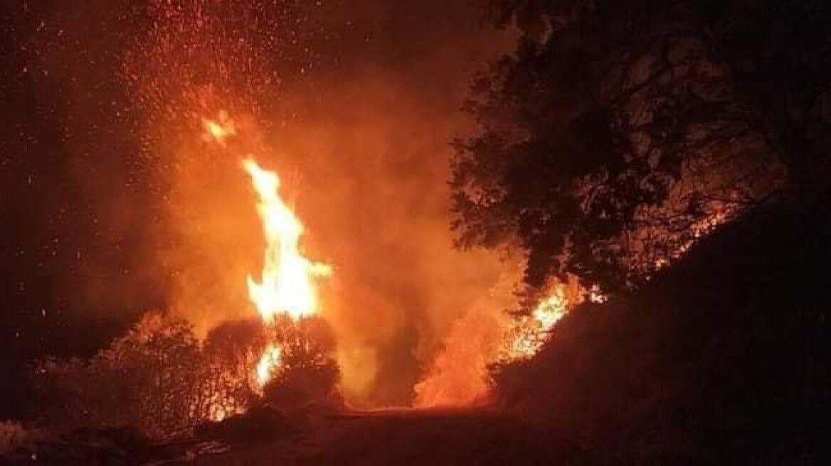 Φωτιά σε δασική έκταση στην Κάρυστο