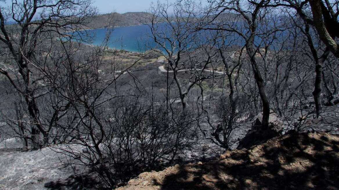 Τραγωδία στη Μάνη: Κάηκε ζωντανή ενώ προσπαθούσε να κάψει κλαδιά από ελιές 