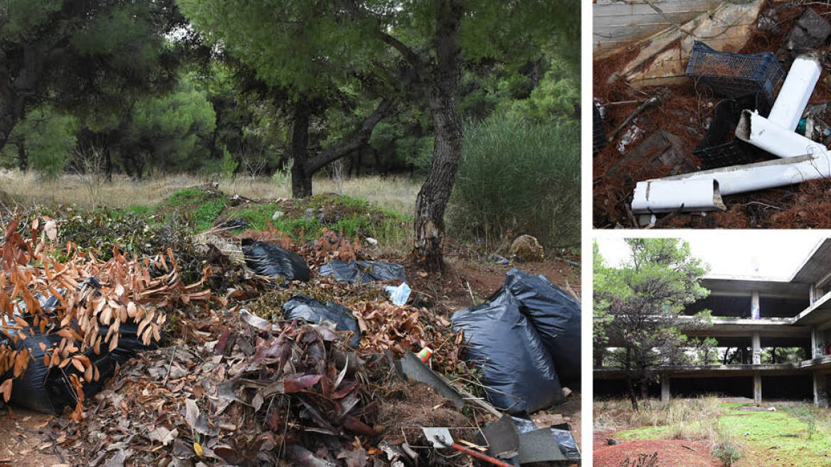 Δάσος Κεφαλαρίου: Στο έλεος της εγκατάλειψης και των ναρκομανών 