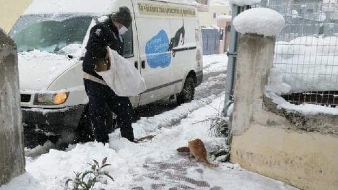 Δήμος Αθηναίων: 37 μηχανήματα επιχειρούν για τον καθαρισμό των δρόμων από το χιόνι