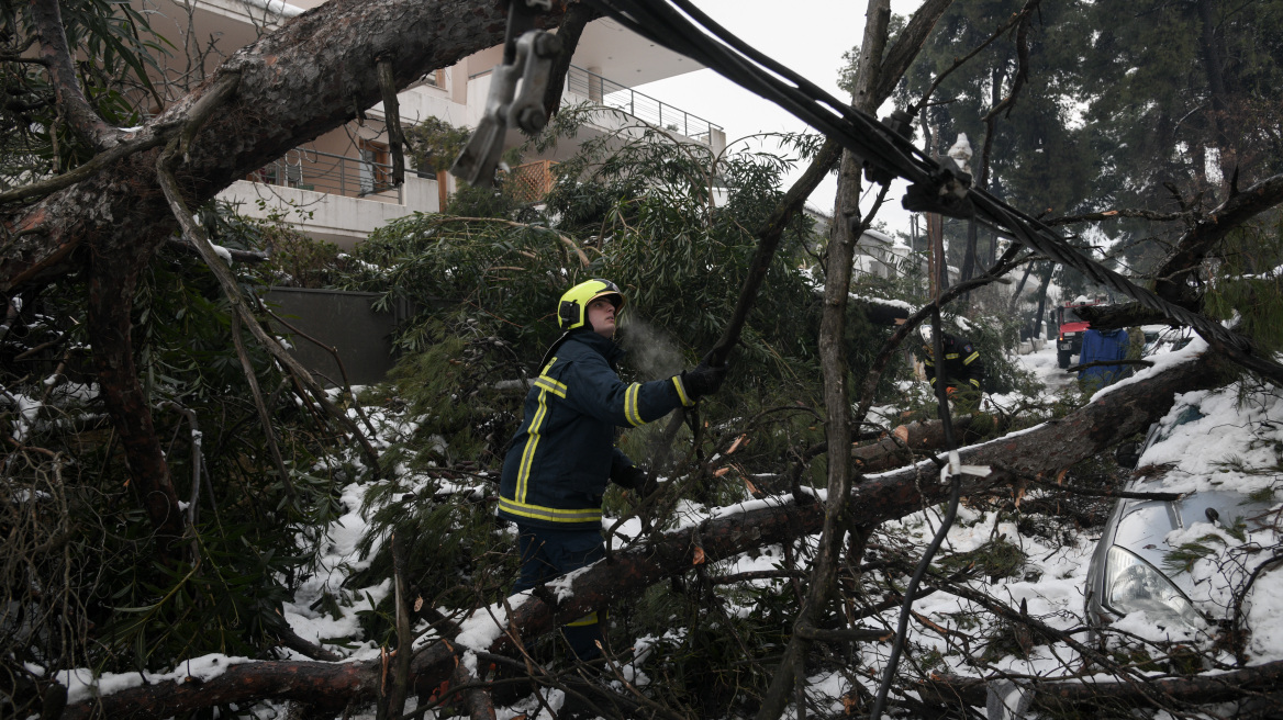 Για έκτη μέρα χωρίς ρεύμα ο Διόνυσος - Δραματική έκκληση του δημάρχου: «Έλεος!»