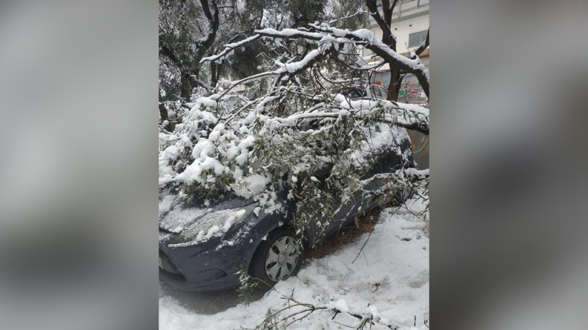 Καταγγελία: Ασφαλιστικές ζητάνε βεβαιώσεις για τη χιονοθύελλα από τους ιδιοκτήτες που καταπλάκωσαν τα ΙΧ τους δέντρα