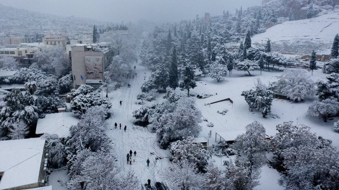 Meteo-«Μήδεια»: Το «βαρύ χιόνι» τσάκισε τα δένδρα στην Αττική 