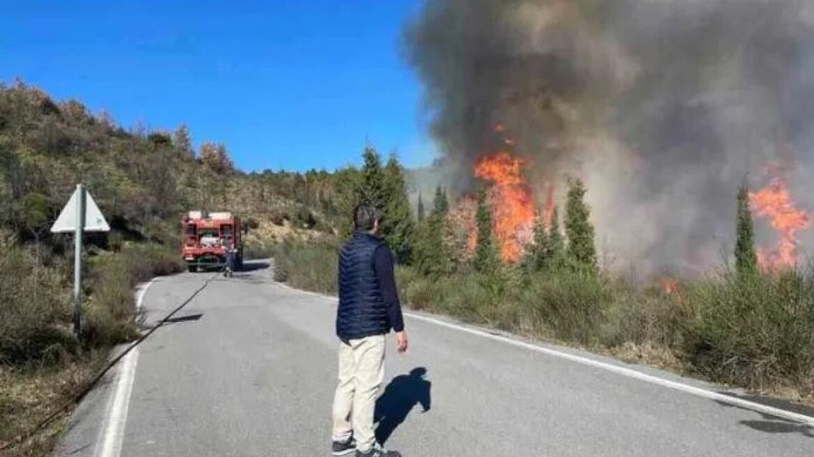 Μεγάλη φωτιά σε δασική έκταση στη Μεγαλόπολη