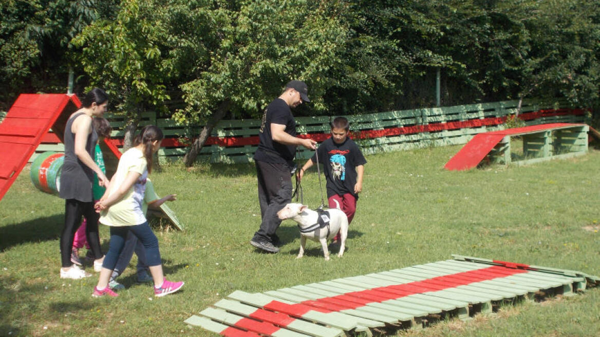 Animal Assisted Therapy: Ένα πρωτότυπο πρόγραμμα θεραπείας με σκύλους στην Κοζάνη