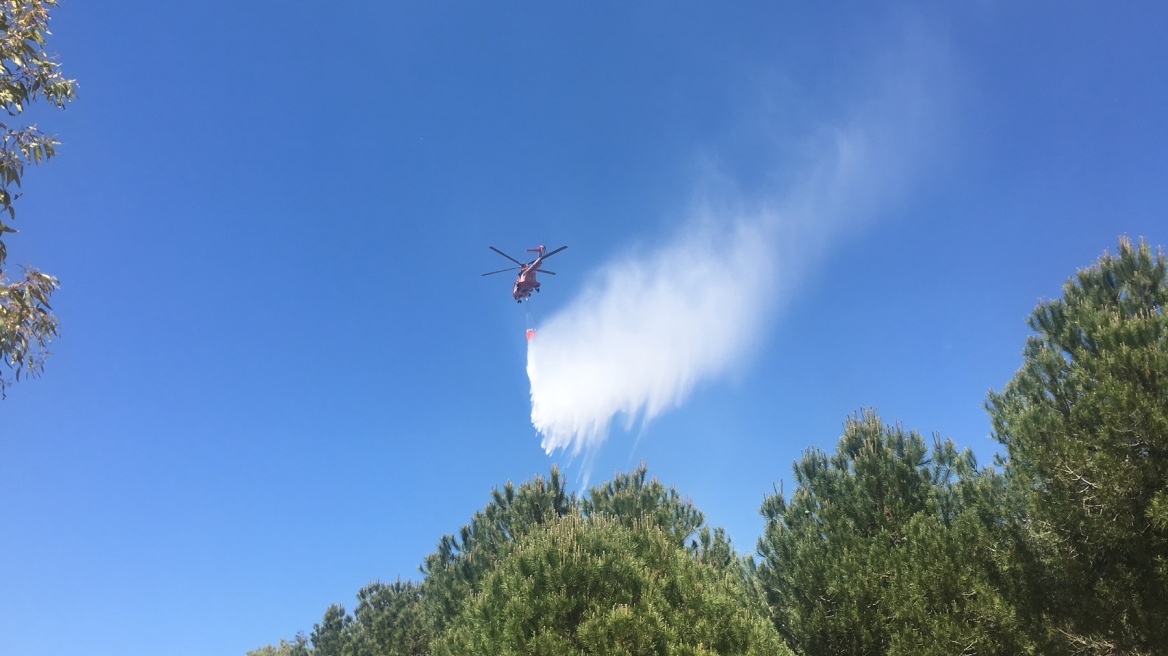 Φωτιά σε υπαίθριο χώρο στην Αργυρούπολη 