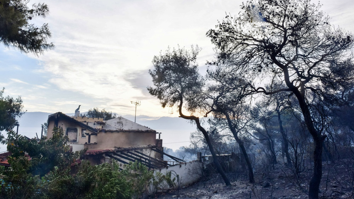 Φωτιά στον Σχίνο Κορινθίας: Εικόνες καταστροφής- Αγωνία λόγω των ισχυρών ανέμων