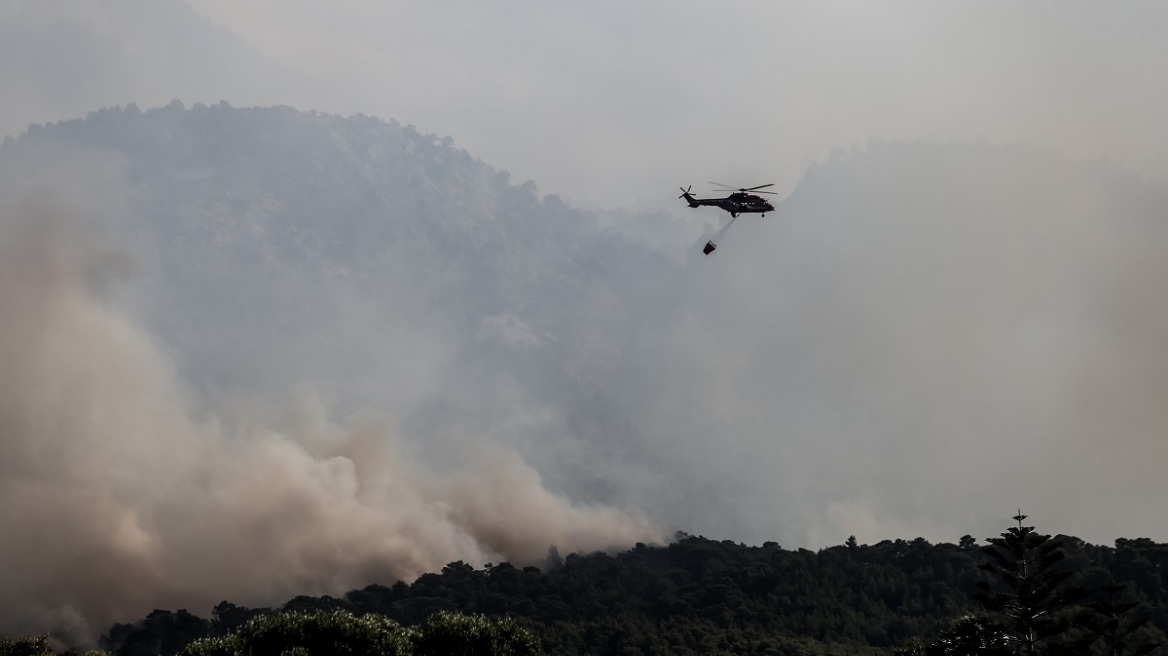 Φωτιά στο Σχίνο Κορινθίας: Έκτακτη ενημέρωση Χαρδαλιά στις 09:30 για την πυρκαγιά