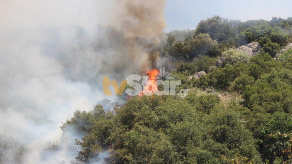 Φωτιά σε δασική έκταση στην περιοχή Αγνάντιο Βοιωτίας