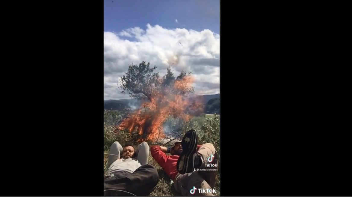 To Τik Τok κατέβασε βίντεο αγροτών που καίνε κλαδιά ελιάς ενώ φυσούσε