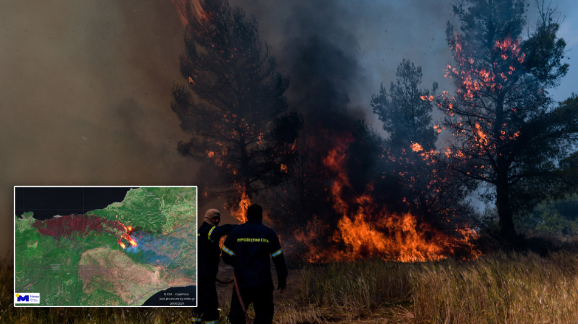 Φωτιά στο Σχίνο: Η καταστροφή αποτυπωμένη από δορυφόρο