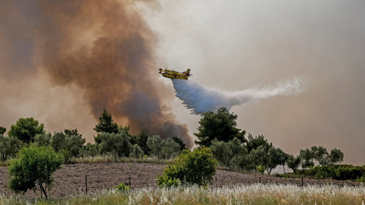 Φωτιά στον Σχίνο: Μάχη με τις διάσπαρτες εστίες δίνουν οι πυροσβέστες