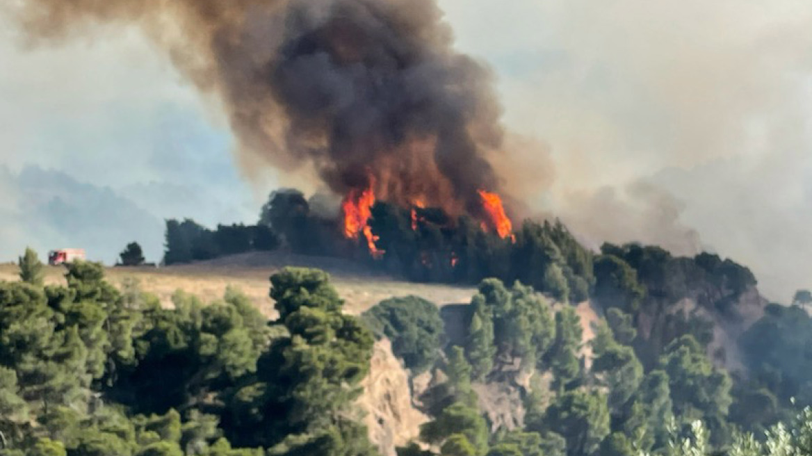 Meteo: Περί τα 71.300 στρέμματα έκαψε η μεγάλη πυρκαγιά στα Γεράνεια