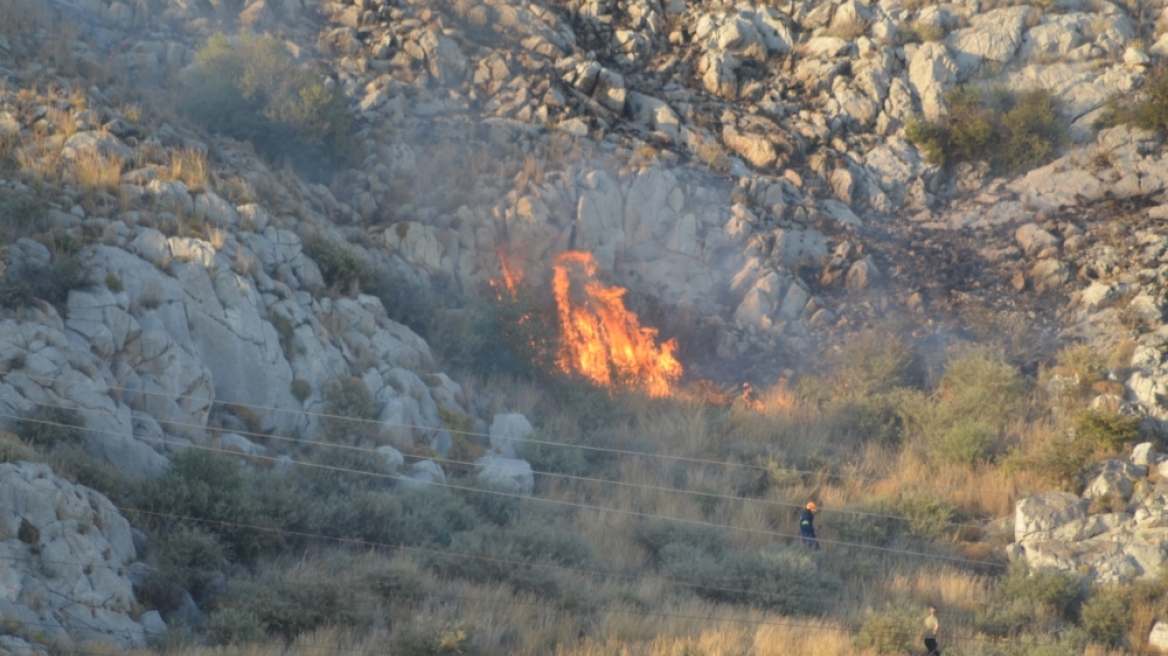 Υπό έλεγχο η φωτιά στην περιοχή Παλούκια στη Σαλαμίνα