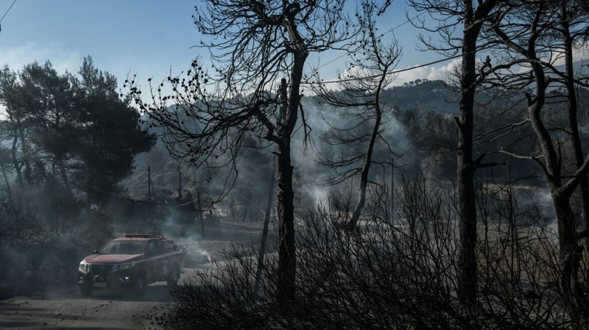 Φωτιά στην Κορινθία: Αυτές είναι οι αποζημιώσεις που θα λάβουν οι πυρόπληκτοι