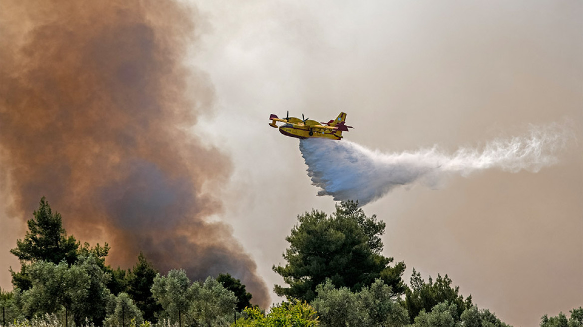 Φωτιά σε Κορινθία - Μέγαρα: Μάχη με τις αναζωπυρώσεις στο Αλεποχώρι - Διάσπαρτες εστίες σε πολλά σημεία