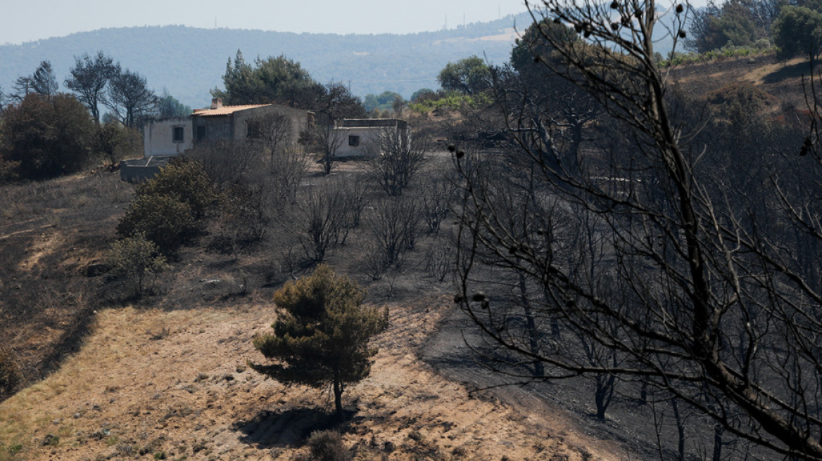 Φωτιά στον Σχίνο- Πυροσβεστική: Σε ύφεση η πυρκαγιά - Παραμένουν διάσπαρτες  εστίες- Σύσκεψη με Μητσοτάκη