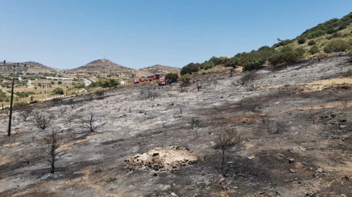 Υπό μερικό έλεγχο η φωτιά στην Κερατέα - Εκκενώθηκε προληπτικά οικισμός