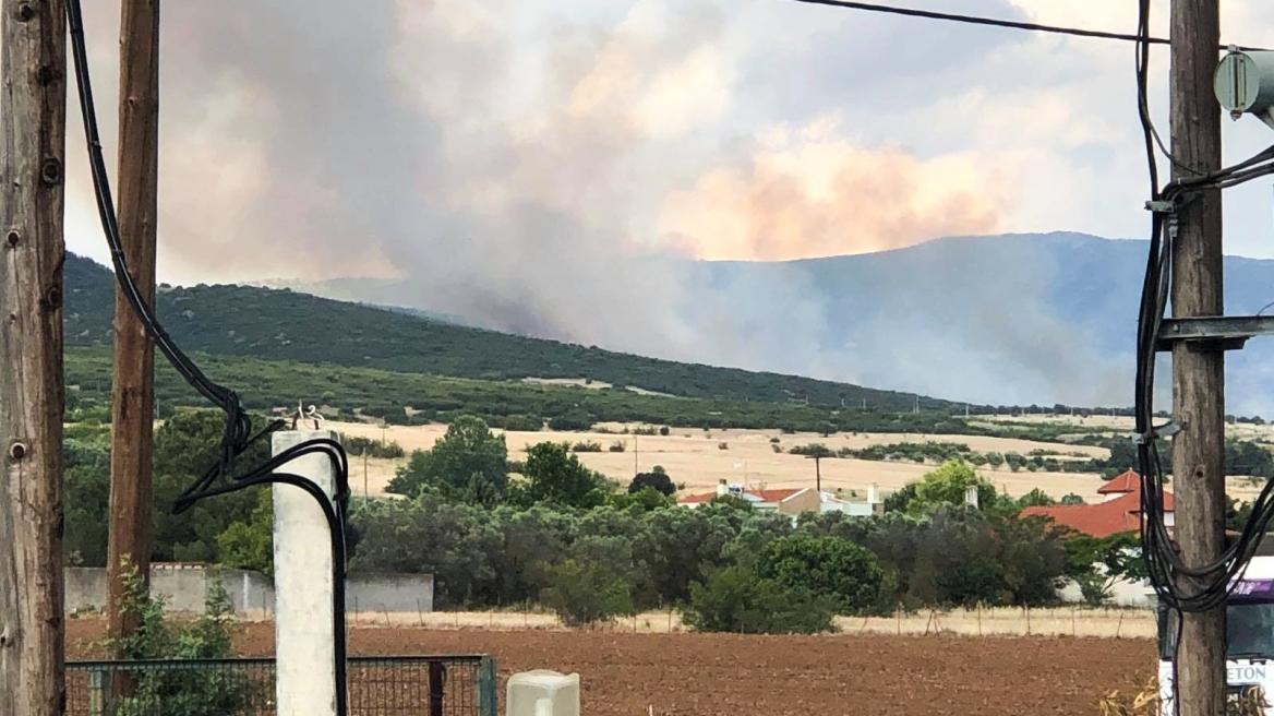 Θεσσαλονίκη: Υπό έλεγχο η φωτιά σε δασική έκταση στο δήμο Θέρμης