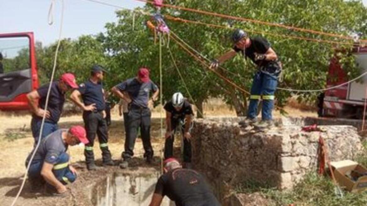 Κρήτη: Άλογο έπεσε σε πηγάδι - Μεγάλη επιχείρηση της πυροσβεστικής 