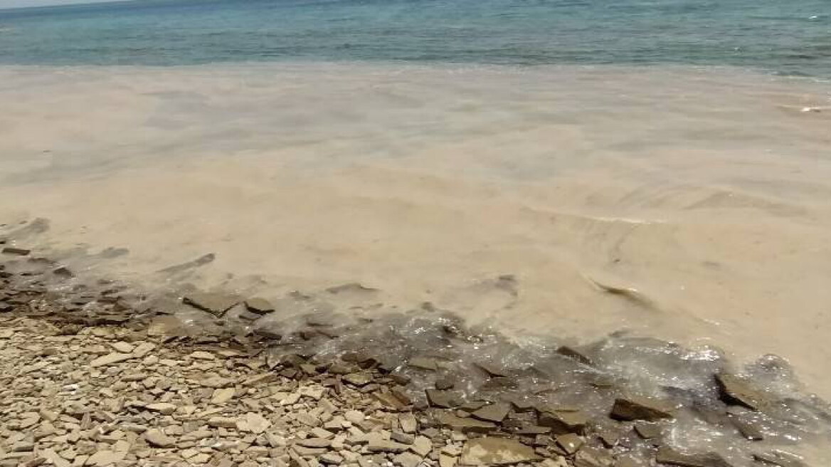 Θαλάσσια βλέννα στη Λήμνο: Ξεκίνησαν οι αυτοψίες στις παραλίες από τους επιθεωρητές