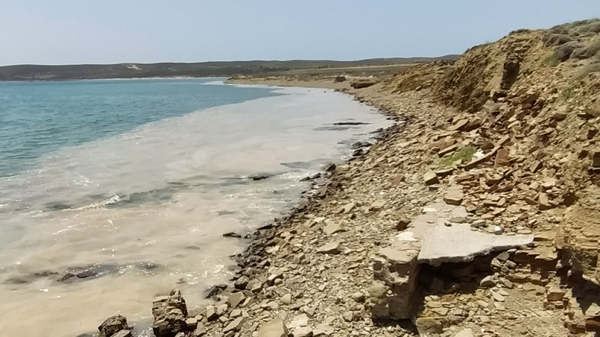 Θαλάσσια βλέννα στη Λήμνο: Σε δυο κολπίσκους έχει εγκλωβιστεί το φαινόμενο - Κλιμάκιο επιθεωρητών στο νησί 