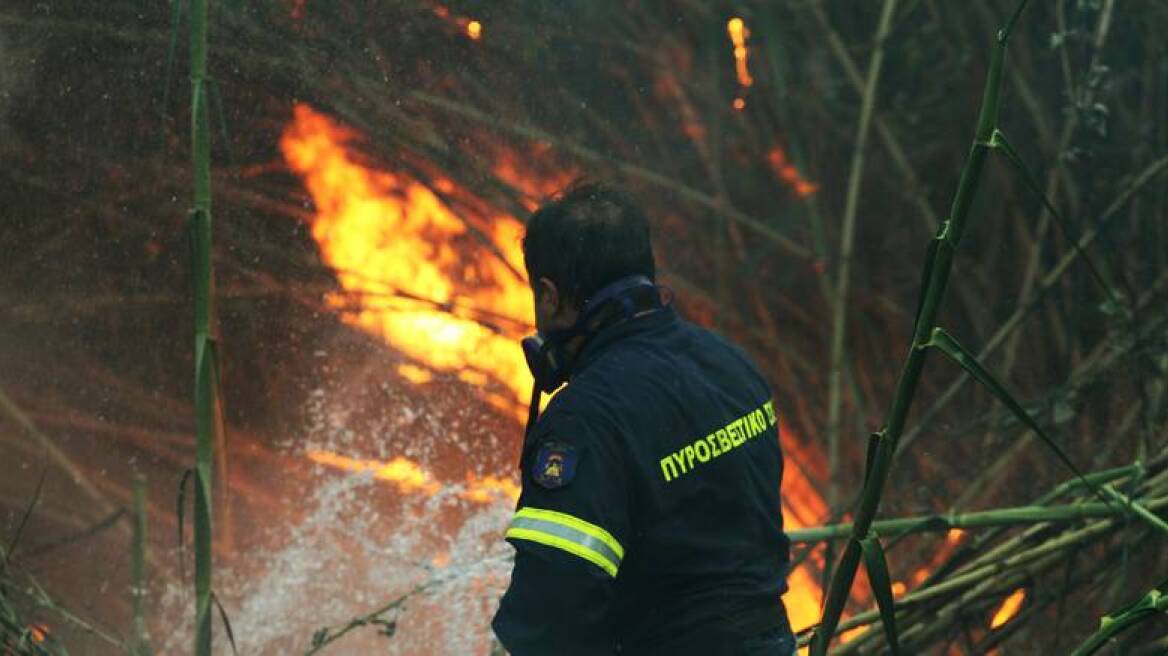 Θεσσαλονίκη: Σύλληψη για εμπρησμό από αμέλεια σε αγροτική έκταση του Λαγκαδά