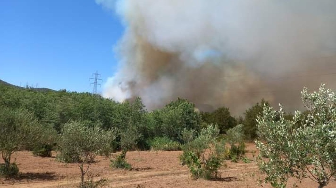  Υπό μερικό έλεγχο η φωτιά στην περιοχή Κυπαρίσσια της Μεγαλόπολης