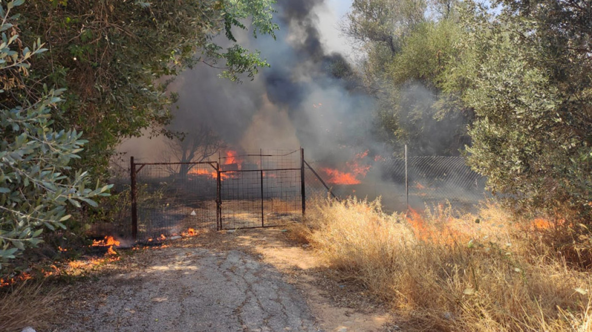 Φωτιά στη Νέα Κηφισιά: Βγήκαν στις αυλές οι κάτοικοι για να σβήσουν τις φλόγες (βίντεο + φωτό)