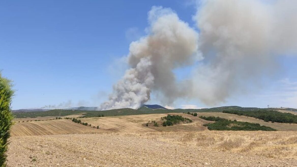 Πυρκαγιά σε δασική έκταση στον Κάλαμο Αττικής