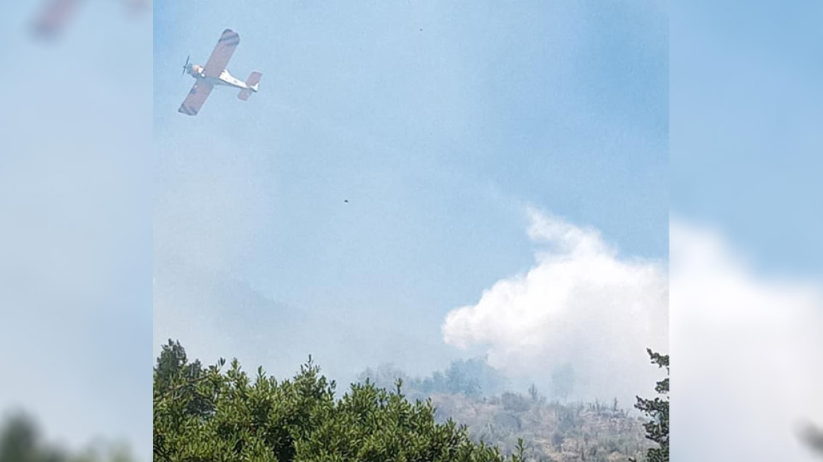 Φωτιά σε δασική έκταση στην Κεφαλονιά - Απομακρύνθηκαν κάτοικοι από την περιοχή Καπανδρίτι