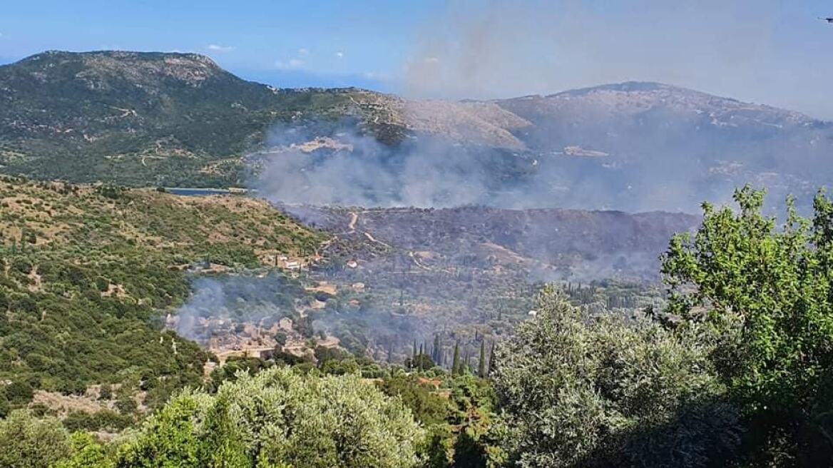 Φωτιά στην Κεφαλονιά: Στάχτη πάνω από 10.000 στρέμματα δάσους - Κάηκαν στάβλοι με ζώα