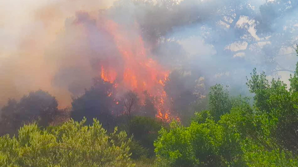 Πυρκαγιά στον Έβρο - Εκκενώθηκε η Λευκίμη