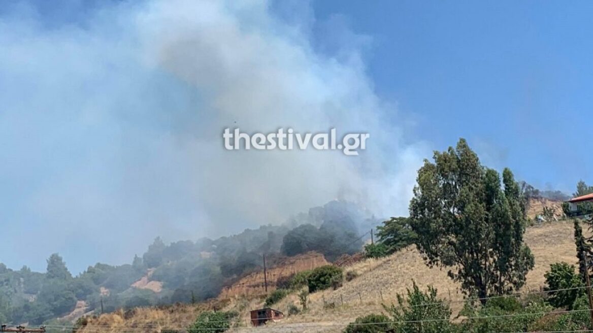 Φωτιά στη Νικήτη Χαλκιδικής