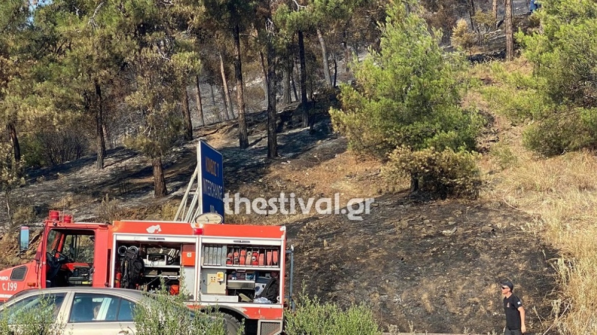 Θεσσαλονίκη: Κάηκαν 90 στρέμματα από τη φωτιά στο Σέιχ Σου