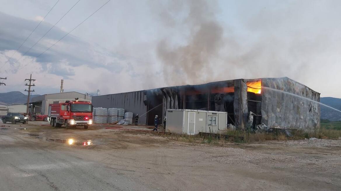 Λάρισα: Φωτιά ξέσπασε σε αποθήκη ζωοτροφών - Φωτογραφίες