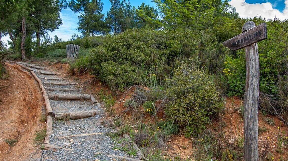 Θεσσαλονίκη: Κλείνει αύριο το Σέιχ Σου λόγω αυξημένου κινδύνου πυρκαγιάς