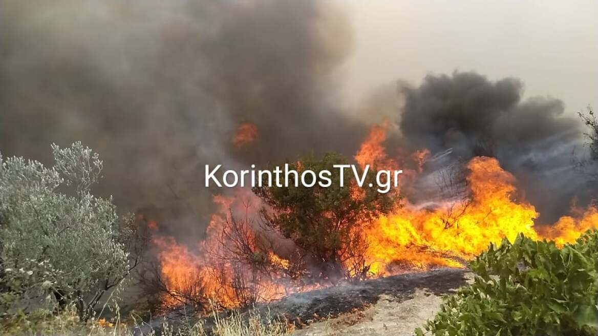 Κορινθία: Δύσκολη νύχτα για το Καλέντζι  - Ενισχύθηκαν οι πυροσβεστικές δυνάμεις